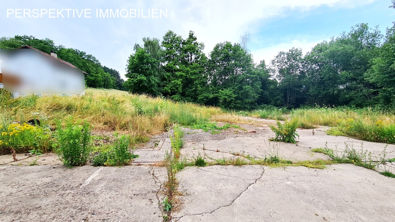INVESTOREN aufgepasst - großes, ebenes Baugrundstück in Michelstadt Steinbach