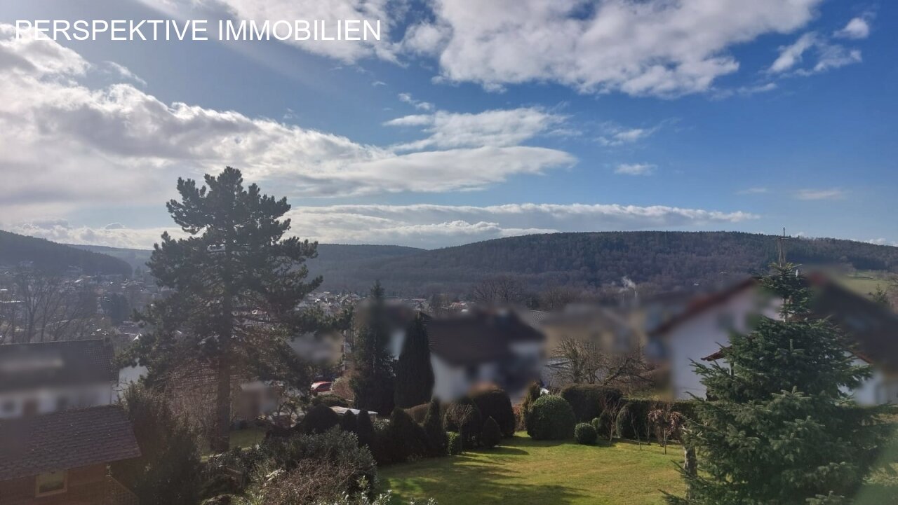 Schicke Villa mit Traumaussicht auf Bad König