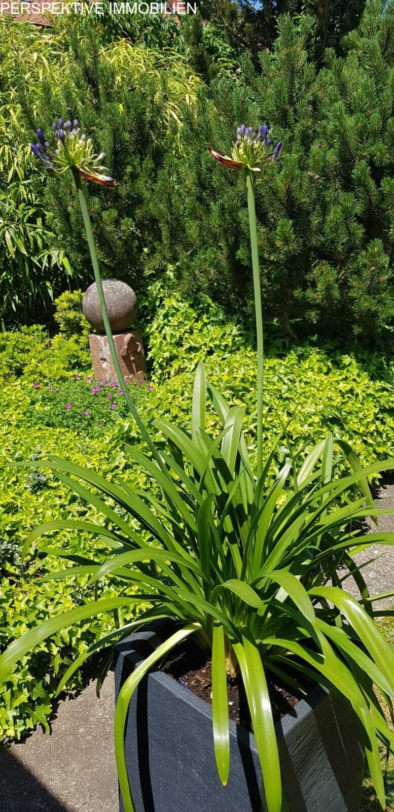 Ein Zuhause zum Verlieben * Zweifamilienhaus mit schönem Garten in toller Lage