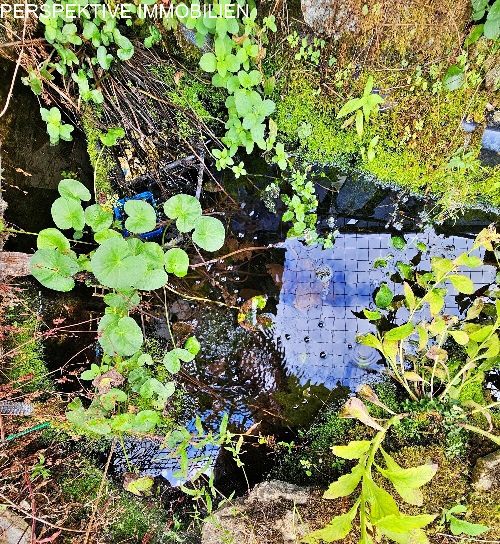 Liebevoll gepflegtes Häuschen mit süßem Gärtchen zentral in Erbach