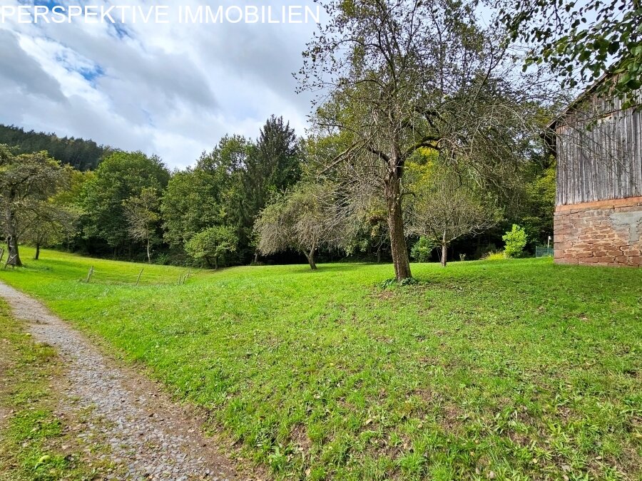 Einfamilienhaus für Naturliebhaber mit Nebengebäude und Wiesen