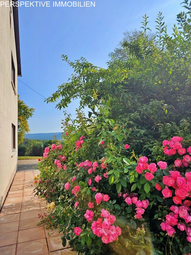 Anwesen  mit viel Potenzial - Aussiedlerhof in idyllischer Alleinlage