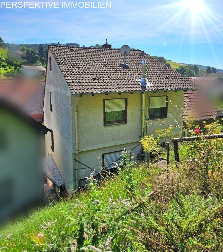 Einfamilienhaus mit Wiese + Scheune und kl.Stall