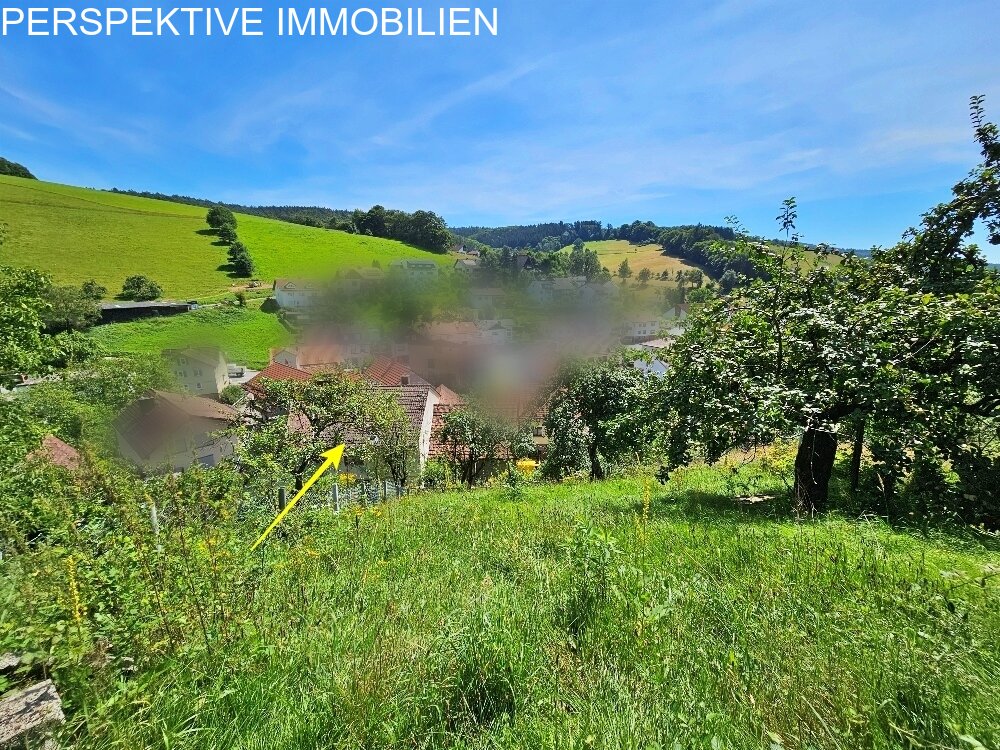 Einfamilienhaus mit Wiese + Scheune und kl.Stall