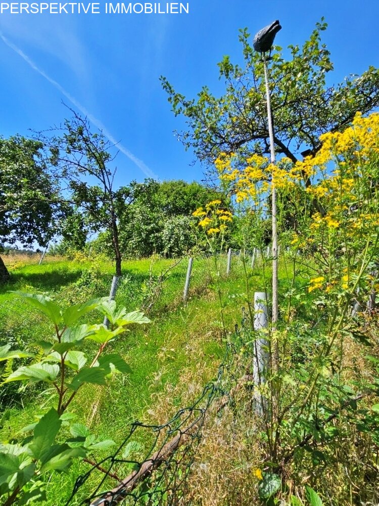 Einfamilienhaus mit Wiese + Scheune und kl.Stall