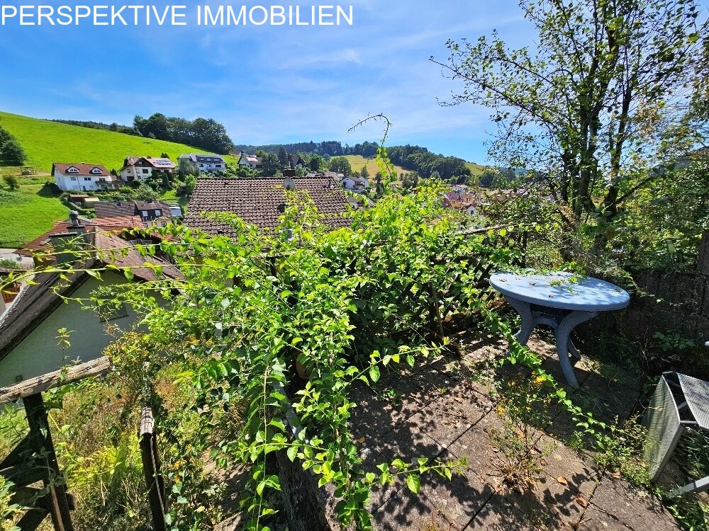 Einfamilienhaus mit Wiese + Scheune und kl.Stall