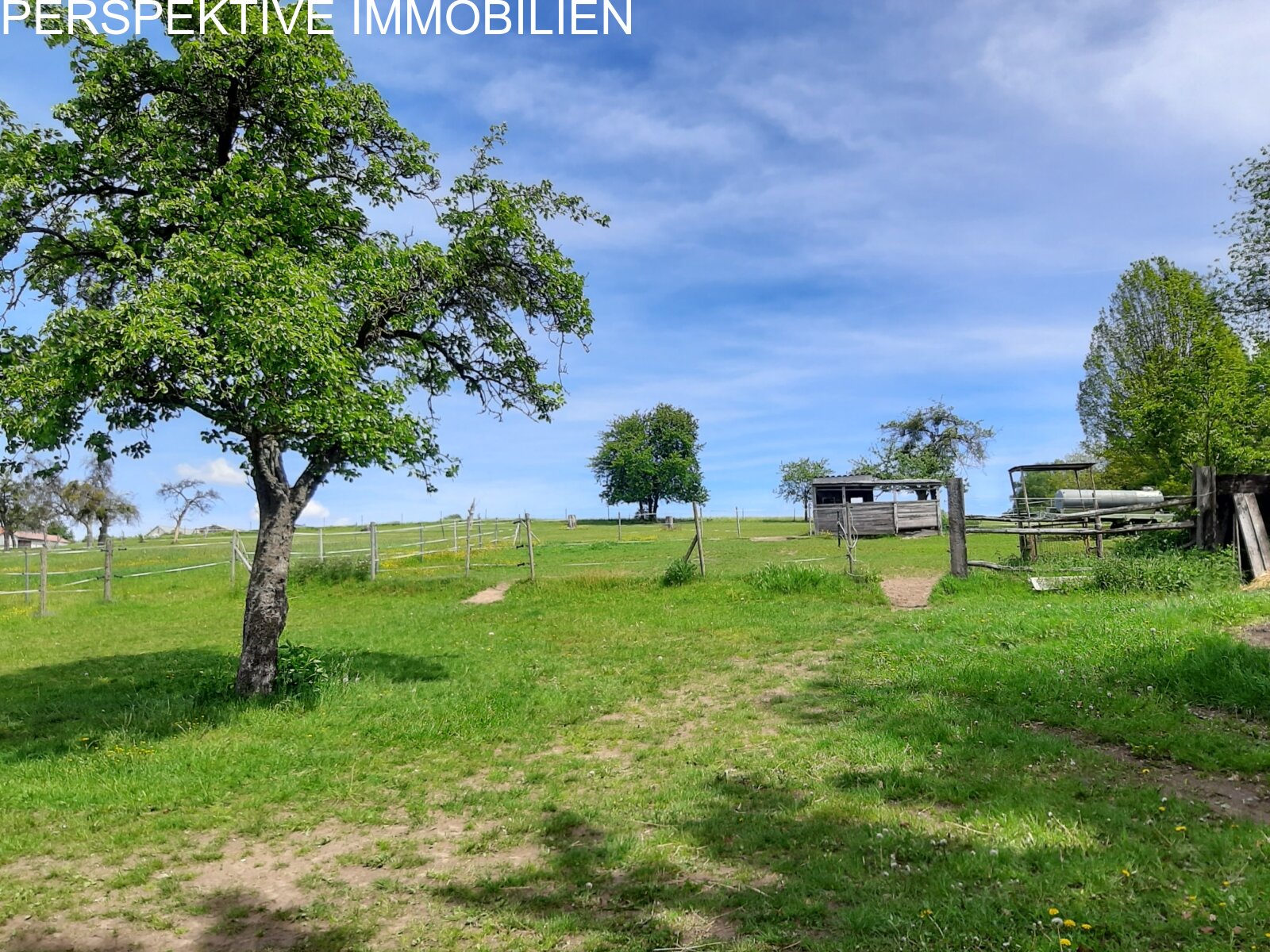 Ein Zuhause für Mensch und Pferd – Leben, wo Leidenschaft Raum bekommt