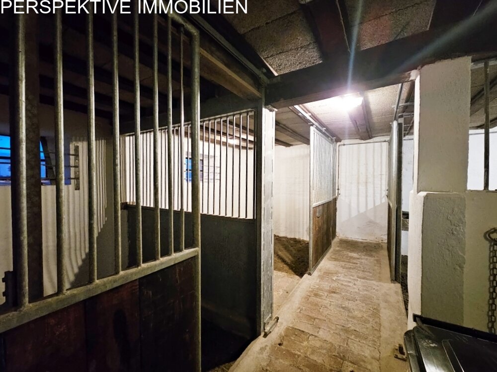 Ein Zuhause für Mensch und Pferd – Leben, wo Leidenschaft Raum bekommt