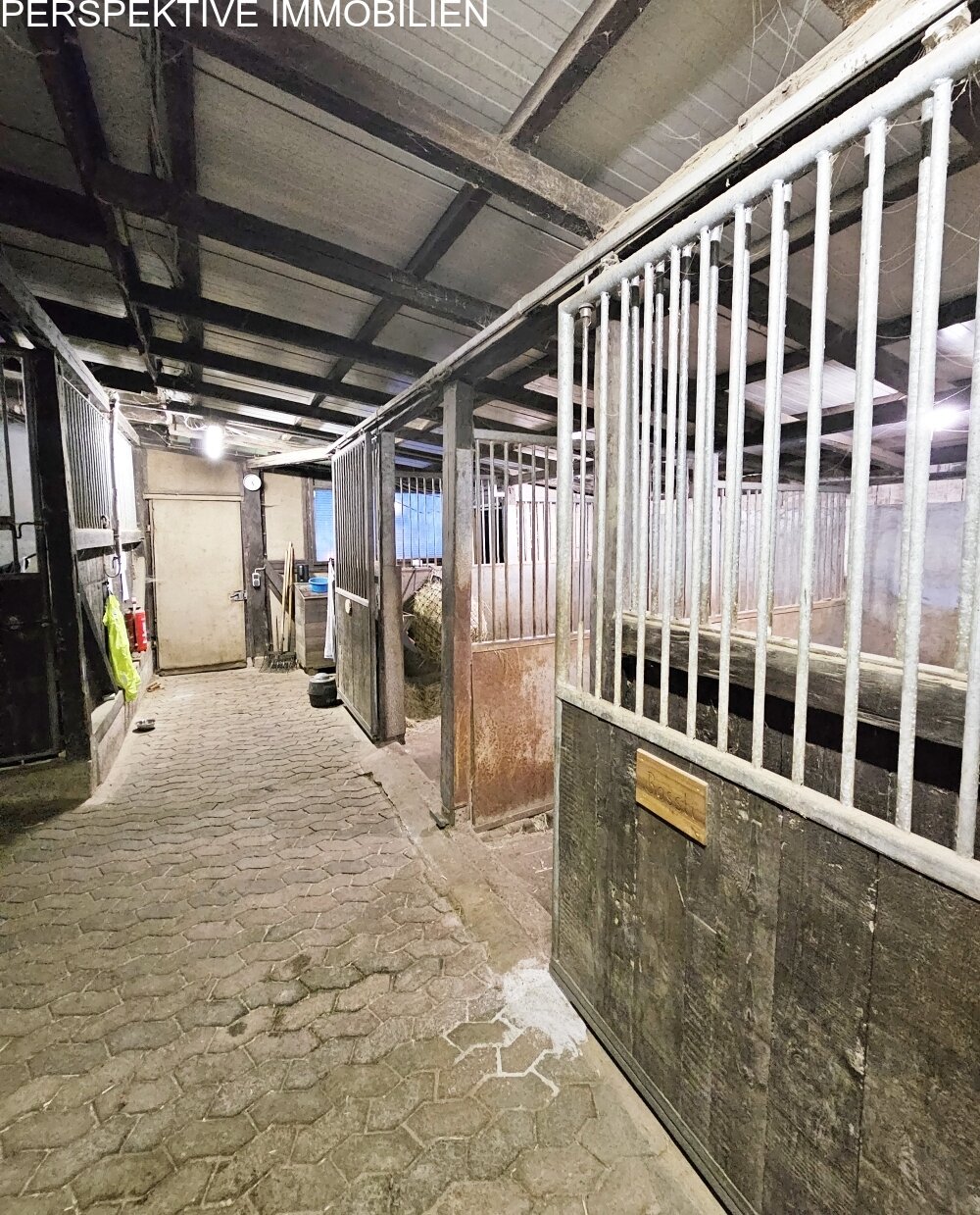 Ein Zuhause für Mensch und Pferd – Leben, wo Leidenschaft Raum bekommt