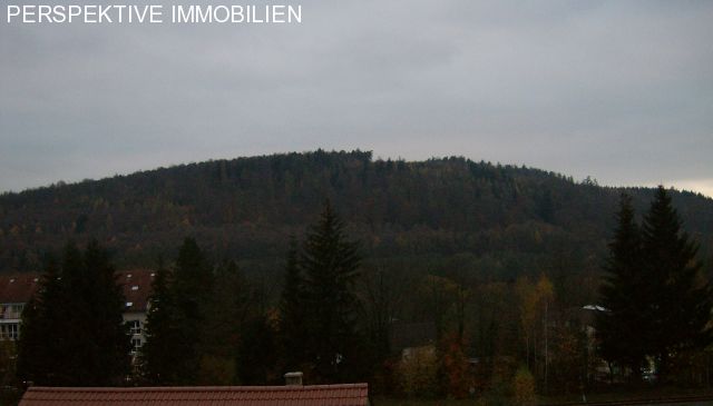 Herrschaftliches Wohnen in einer top-sanierten historischen Villa