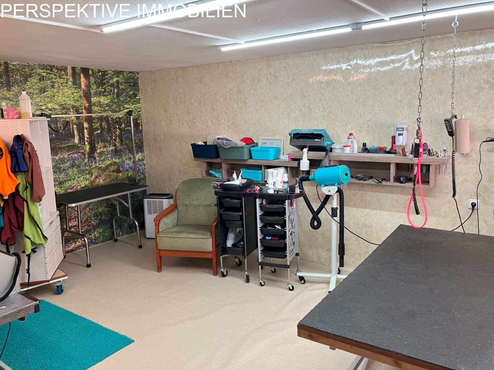 Zimmer 2 EG Whg