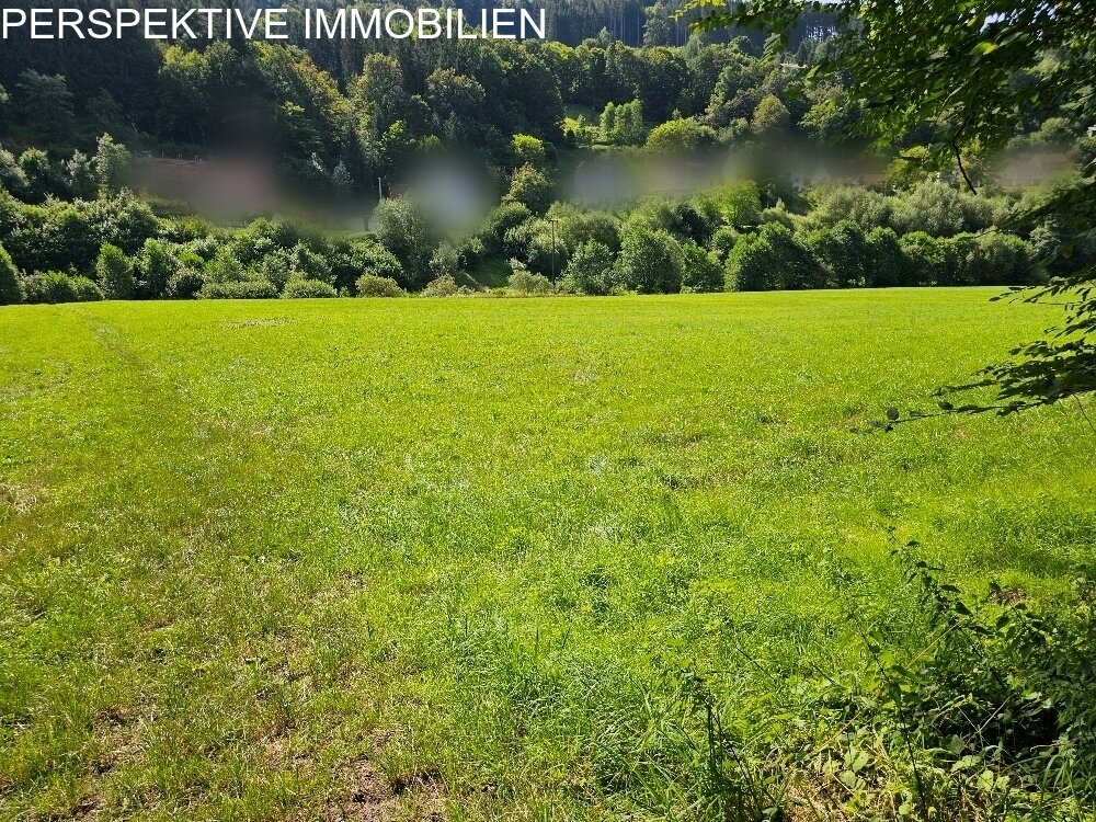 Weidefläche555