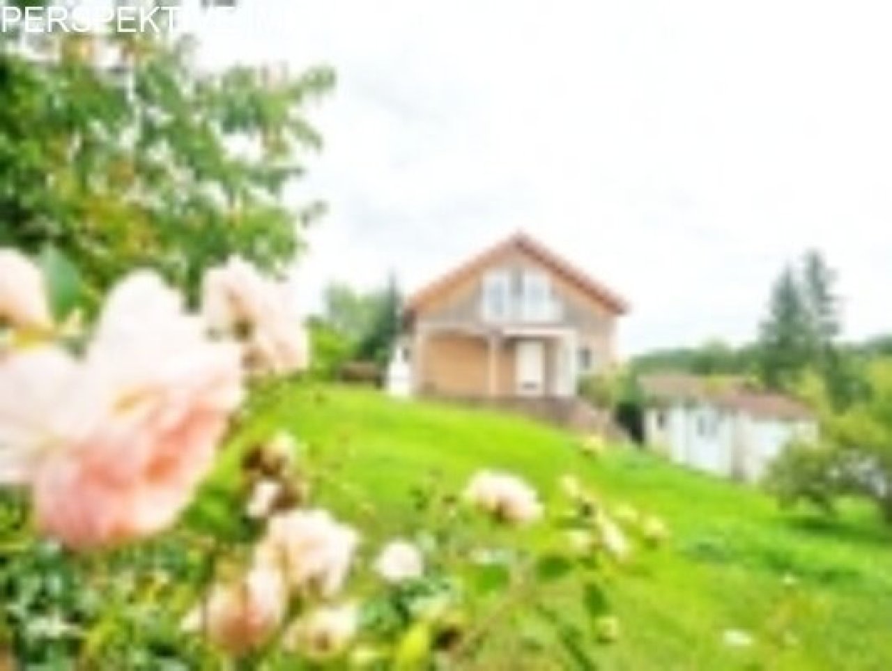 Gartenseits mit Rosen Gartenseits mit Rosen