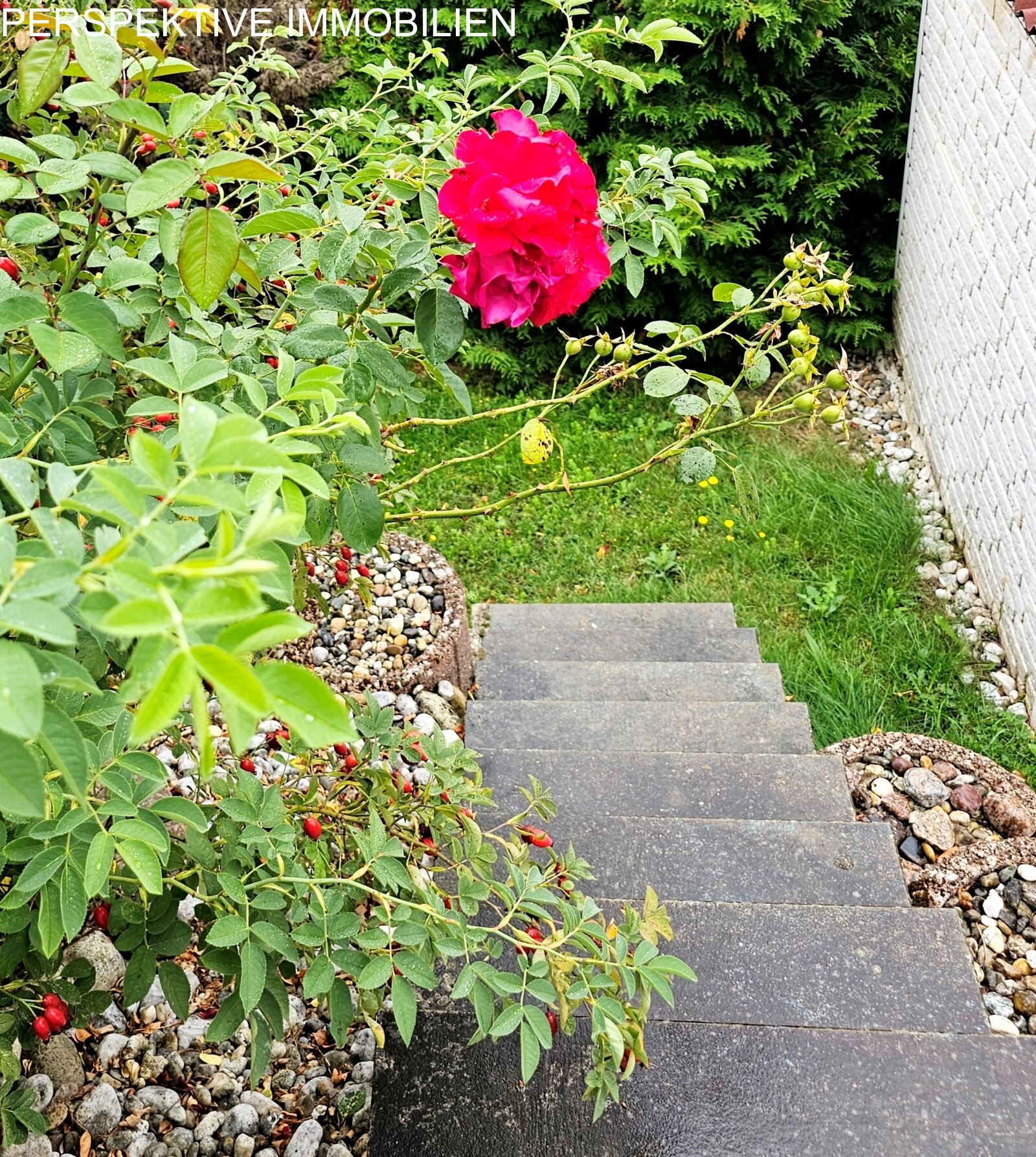 Treppe draußen Treppe draußen