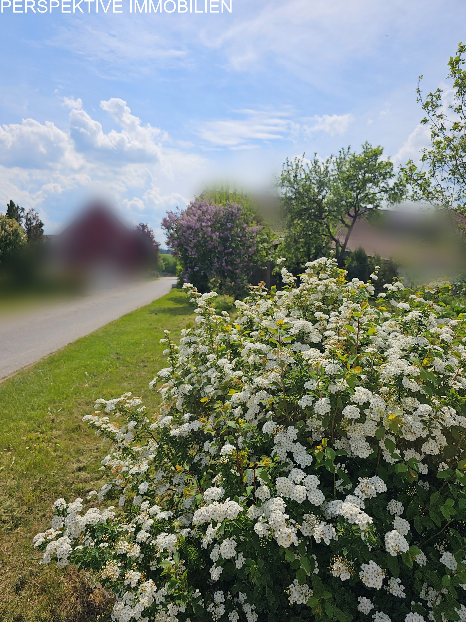 In der Natur In der Natur