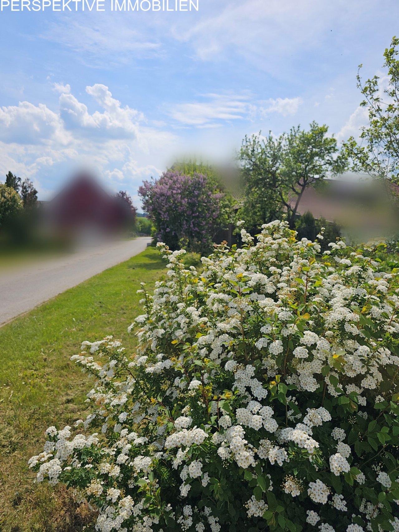 In der Natur In der Natur