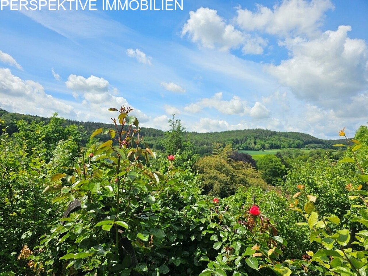 Aussicht Aussicht