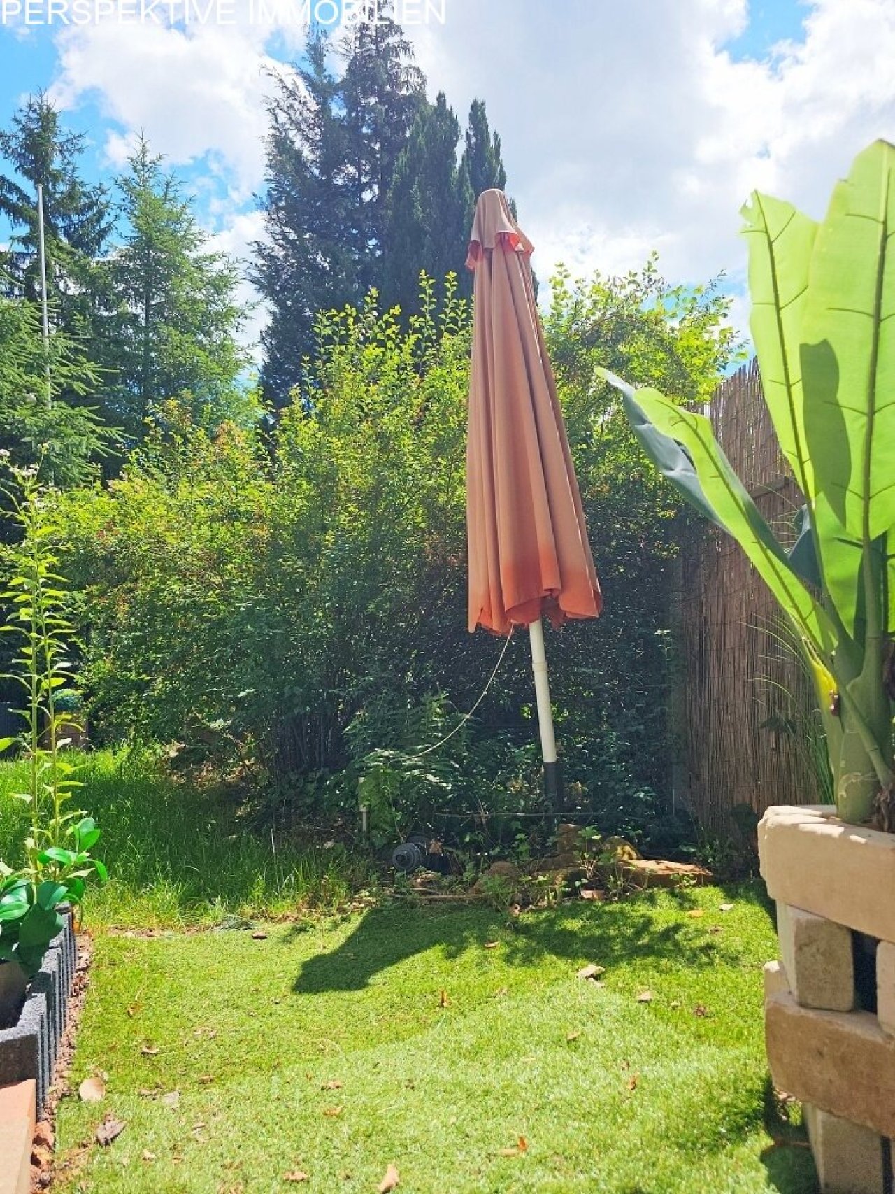 Sonnenwiese Sonnenwiese