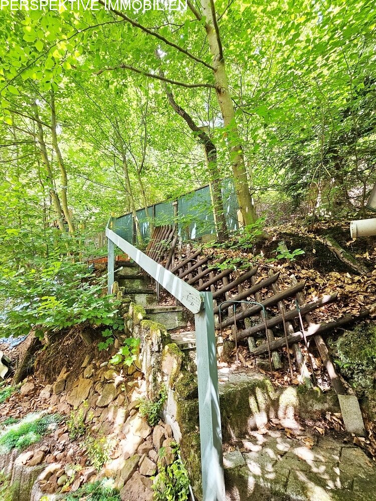 Waldzugang Waldzugang