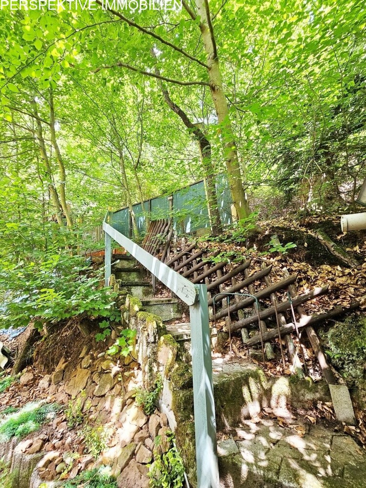 Waldzugang Waldzugang